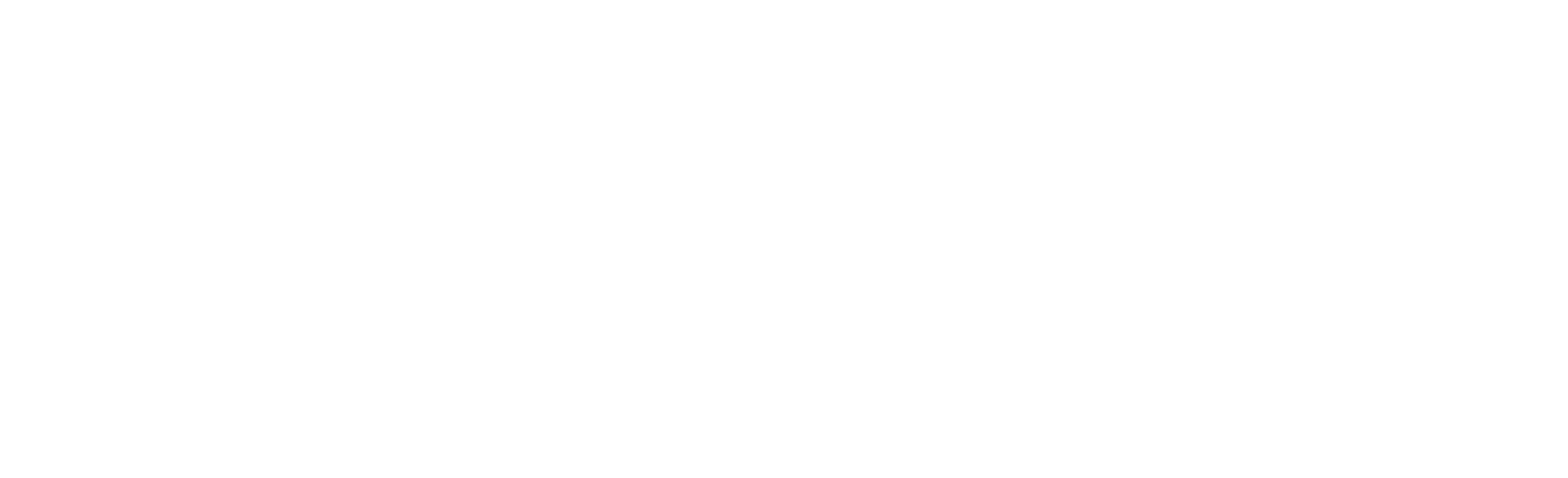 Logo de BIWO.LIFE